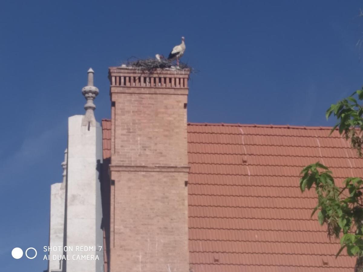 Holiday home Do Silva Mirandela